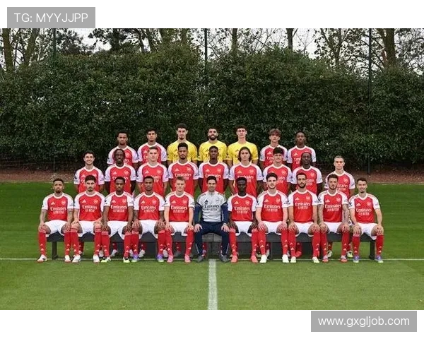 费迪南德：理解阿森纳国脚退出因弗格森相似观点